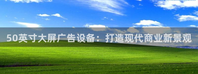 杏宇平台代理多少钱一个月：50英寸大屏广