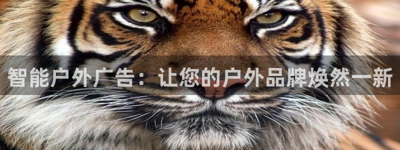 杏宇平台测速链接：智能户外广告：让您的户外品牌焕然一新