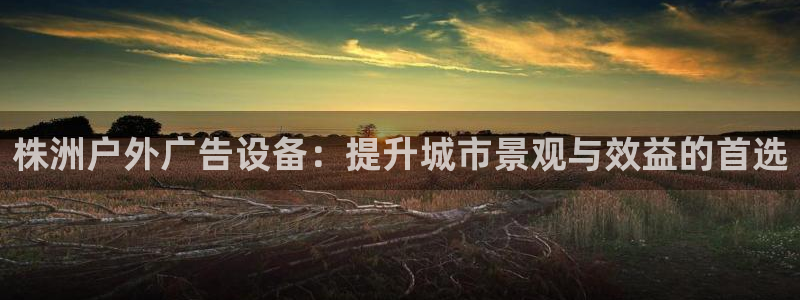 杏宇平台代理：株洲户外广告设备：提升城市景观与效益的首选