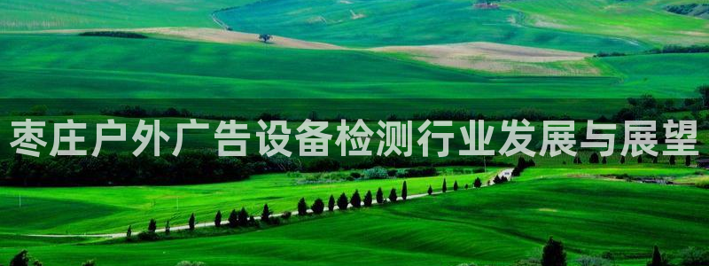 杏宇平台登录方法：枣庄户外广告设备检测行业发展与展望