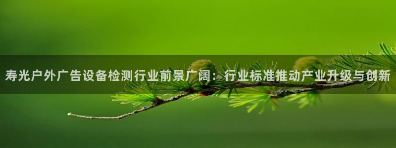 杏宇平台开户：寿光户外广告设备检测行业前景广阔：行业标准推动产业升级与创新