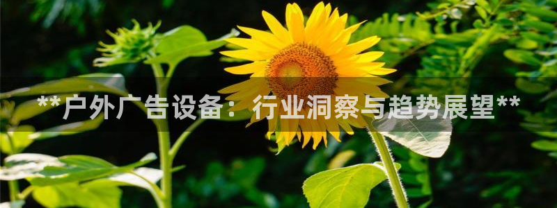 杏宇平台怎么样