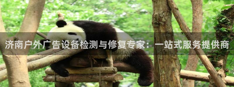 杏宇平台代理多少钱一次