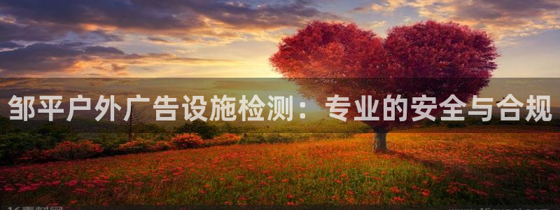 杏宇平台代理怎么样可靠吗：邹平户外广告设施检测：专业的安全与合规
