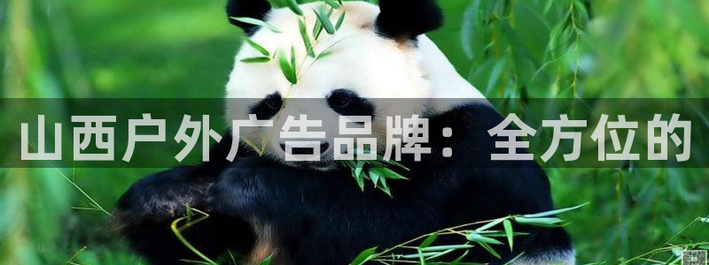 杏宇平台总代理：山西户外广告品牌：全方位