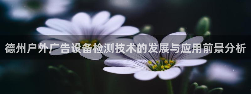 杏宇平台代理怎么赚钱的：德州户外广告设备