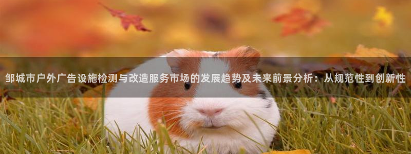 杏宇平台代理怎么样啊：邹城市户外广告设施